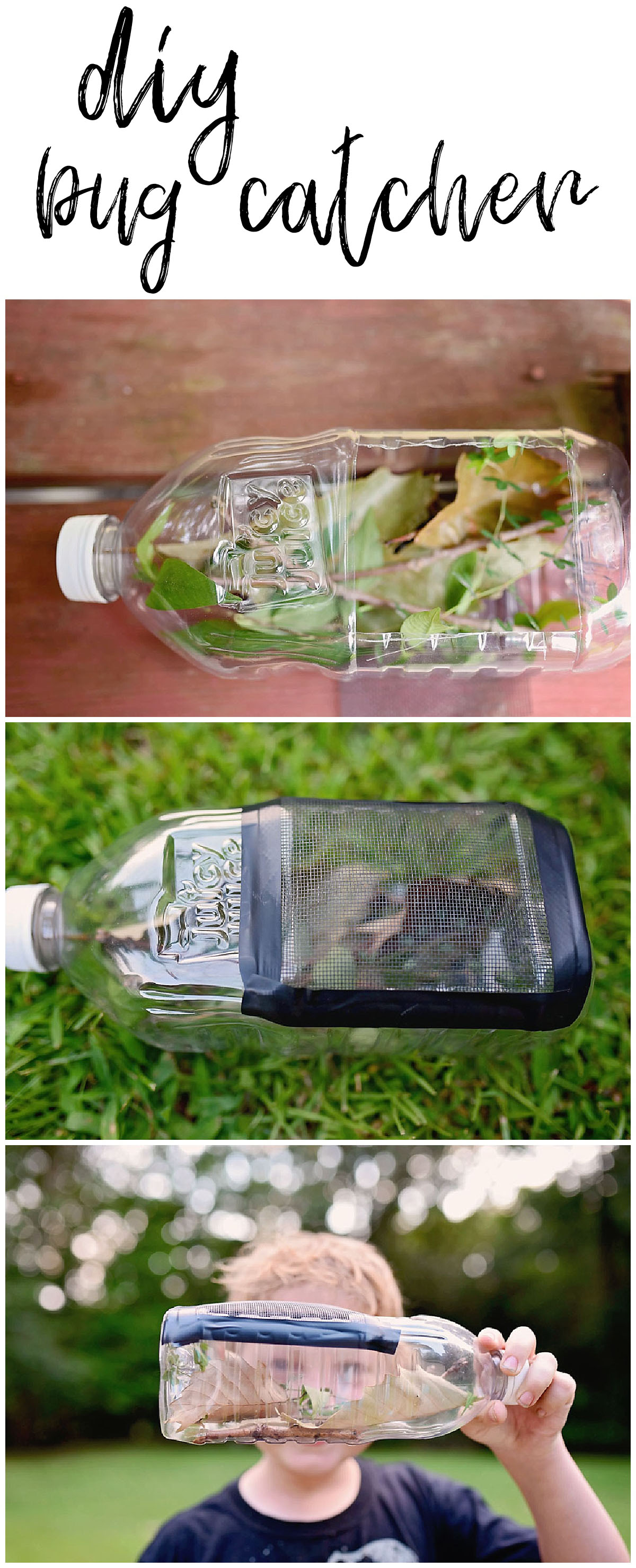 diy bug catcher - Sarah Halstead