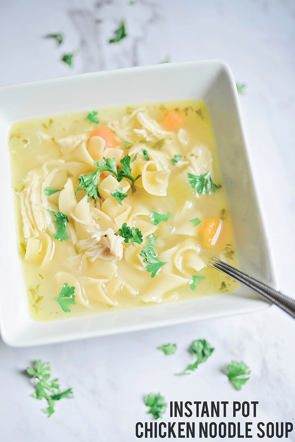 Instant Pot Chicken Noodle Soup