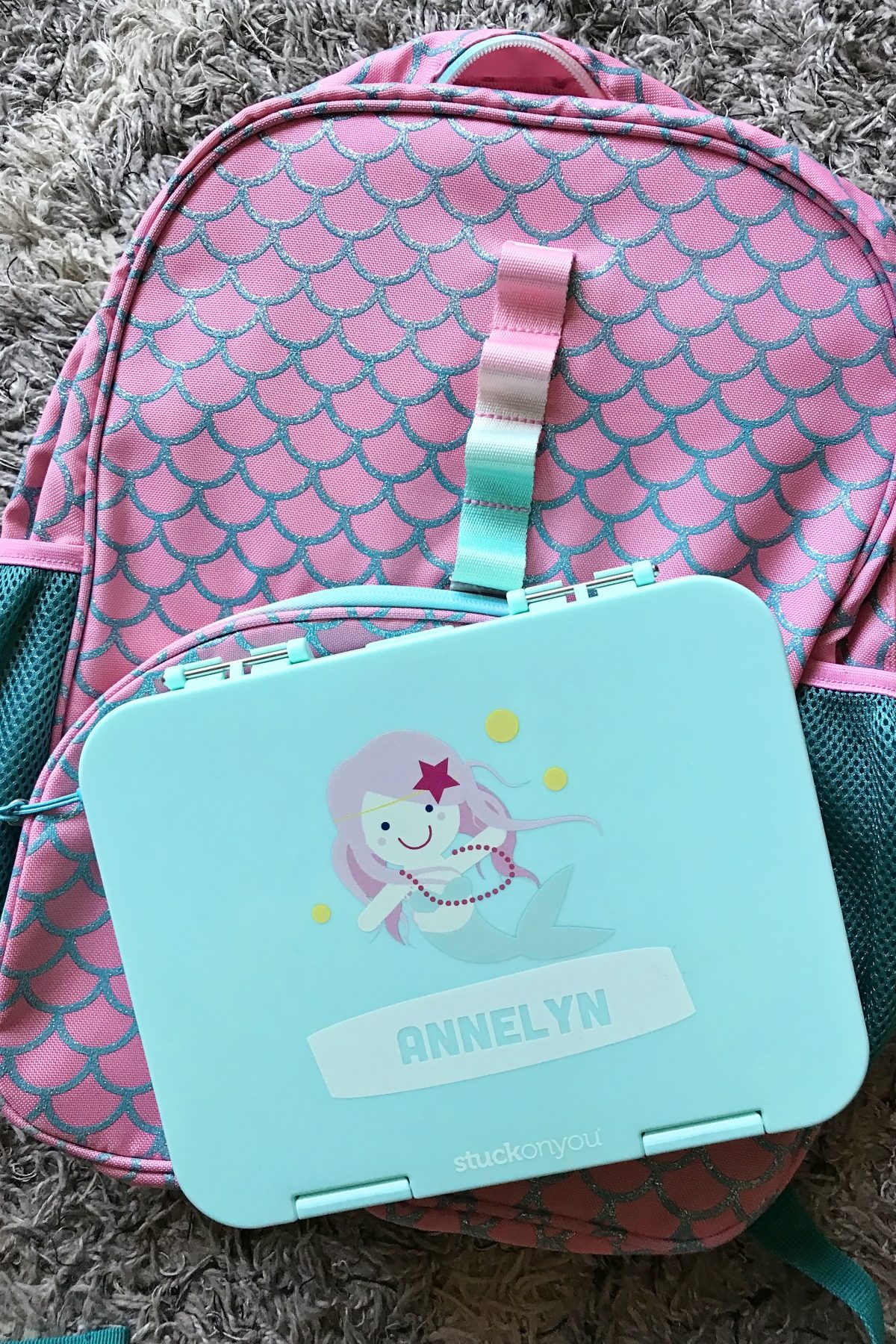 bento box and cooler bag